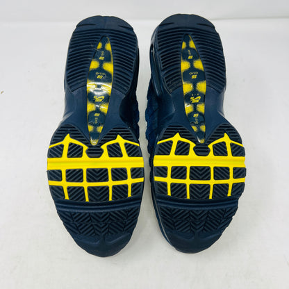 Nike Air Max 95 SB Eric Koston Obsidian Speed Yellow