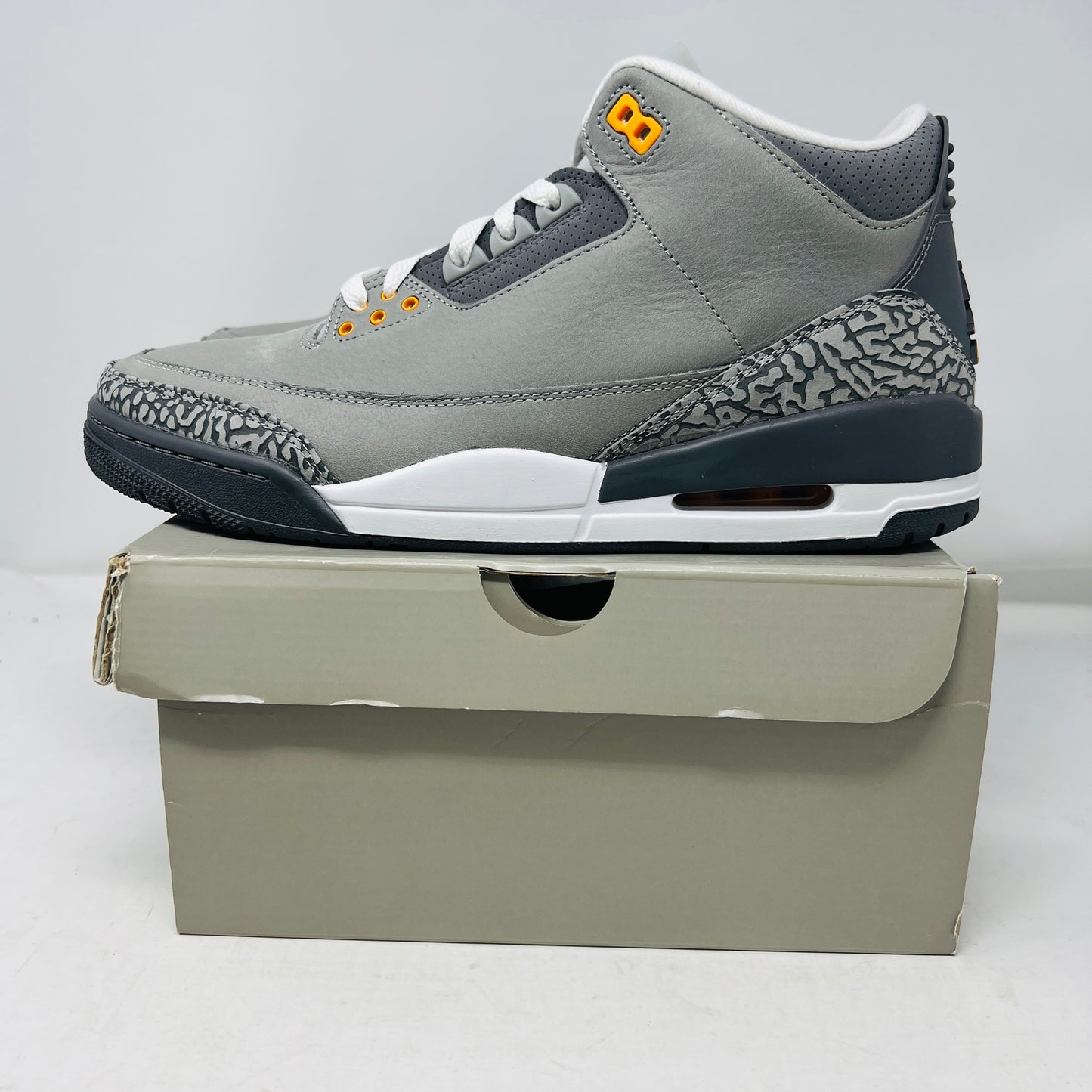 Jordan 3 Retro Cool Grey (2021)