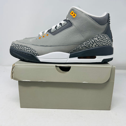 Jordan 3 Retro Cool Grey (2021)