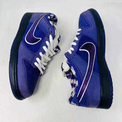 Nike SB Dunk Low Concepts Purple Lobster
