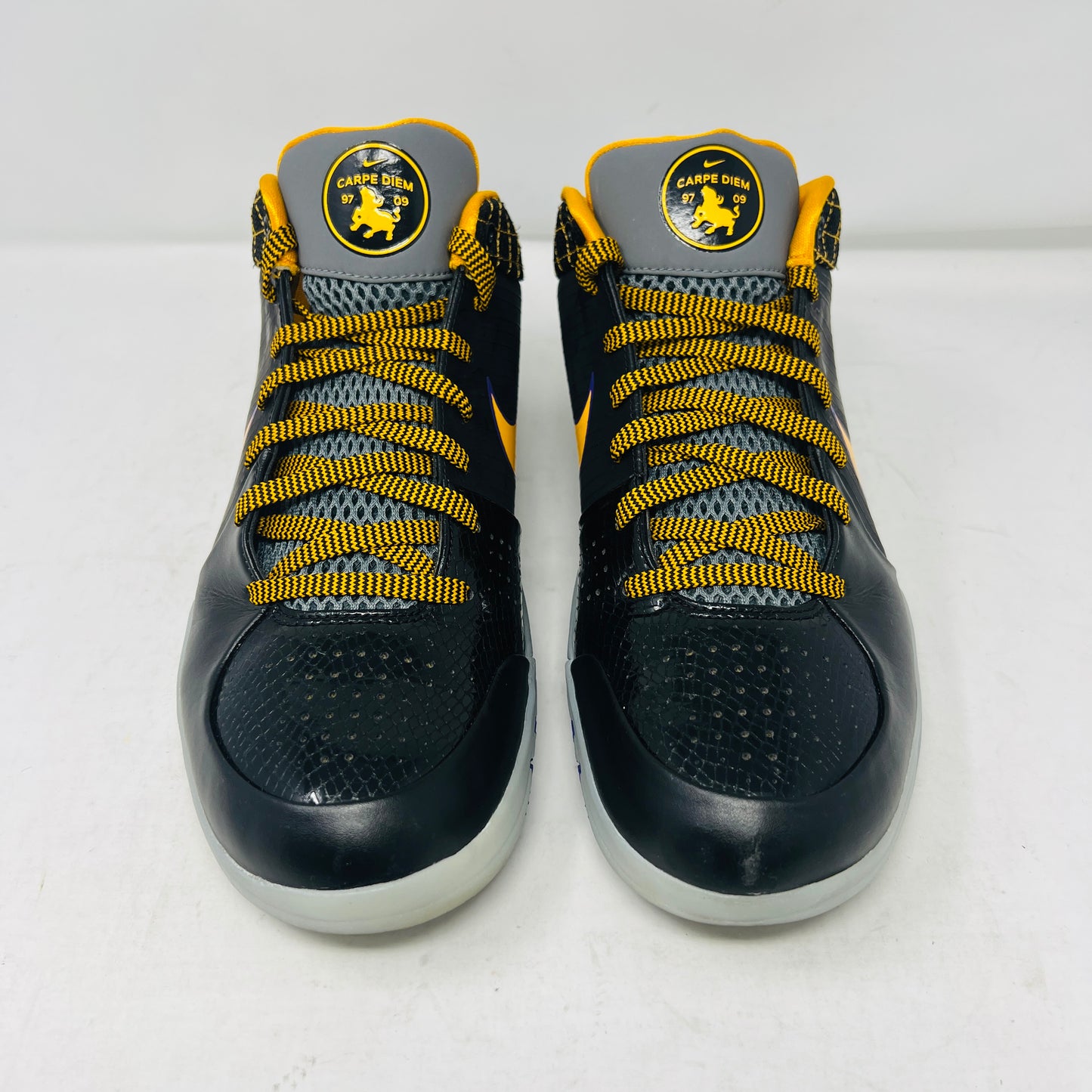 Nike Kobe 4 Protro Carpe Diem