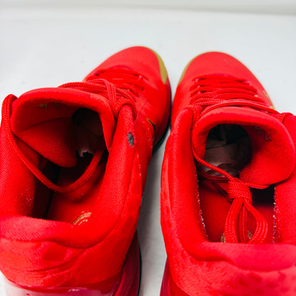 Nike Kobe 5 Protro Year of the Mamba University Red