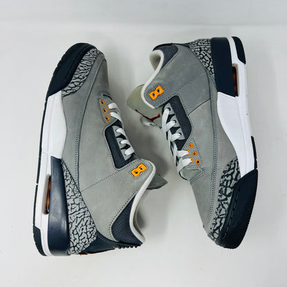 Jordan 3 Retro Cool Grey (2021)