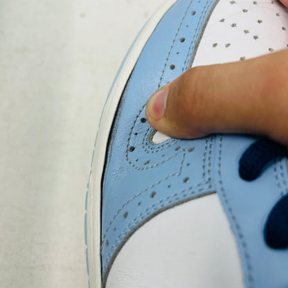 Nike SB Dunk Low Golf Pack Blue