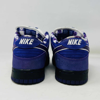 The Nike SB Dunk Low Concepts Purple Lobster sneaker, featuring a clean upper with a white swoosh, rests on a blue and white Nike SB shoebox. An extra bag with pink laces adds a vibrant touch in front of the box.