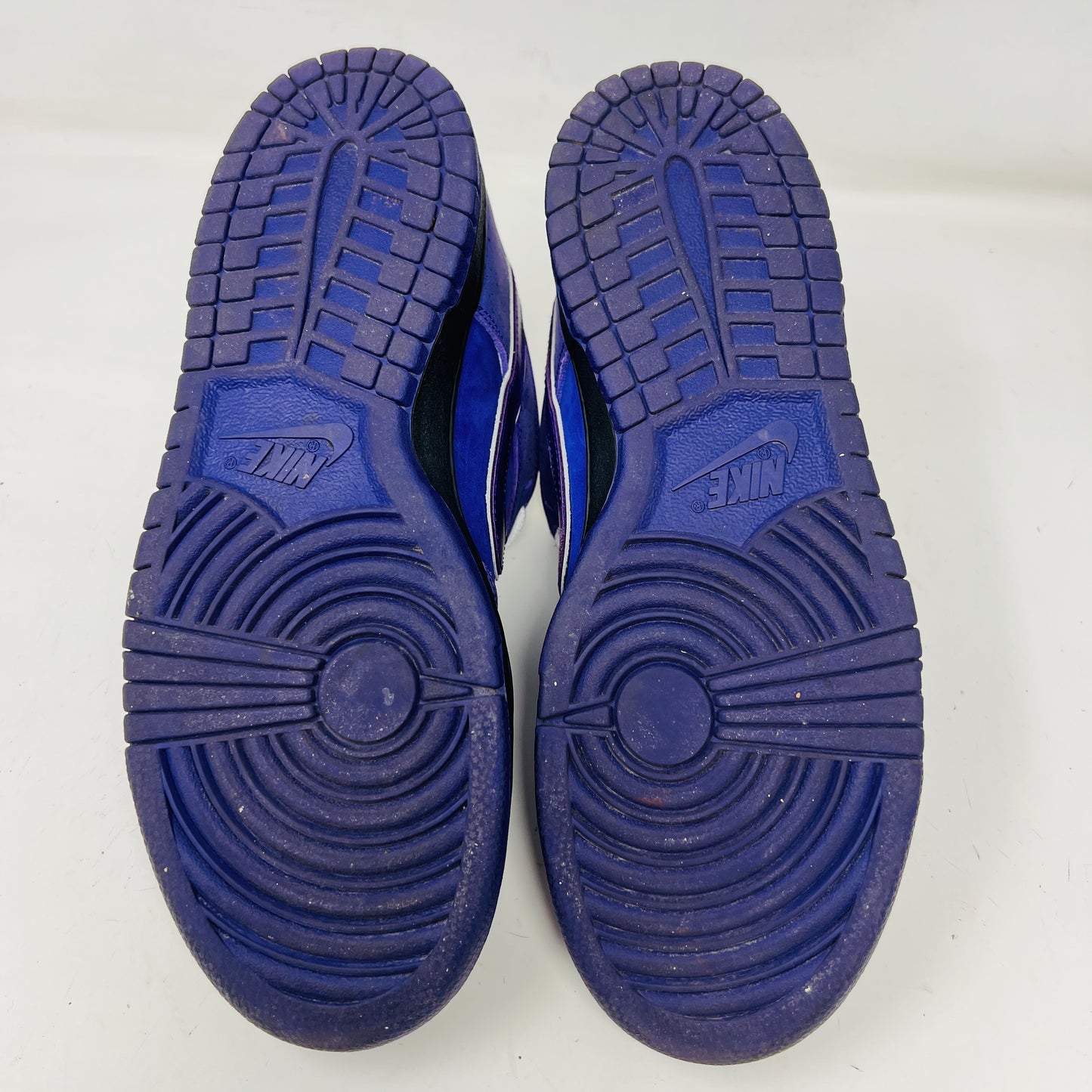 Nike SB Dunk Low Concepts Purple Lobster