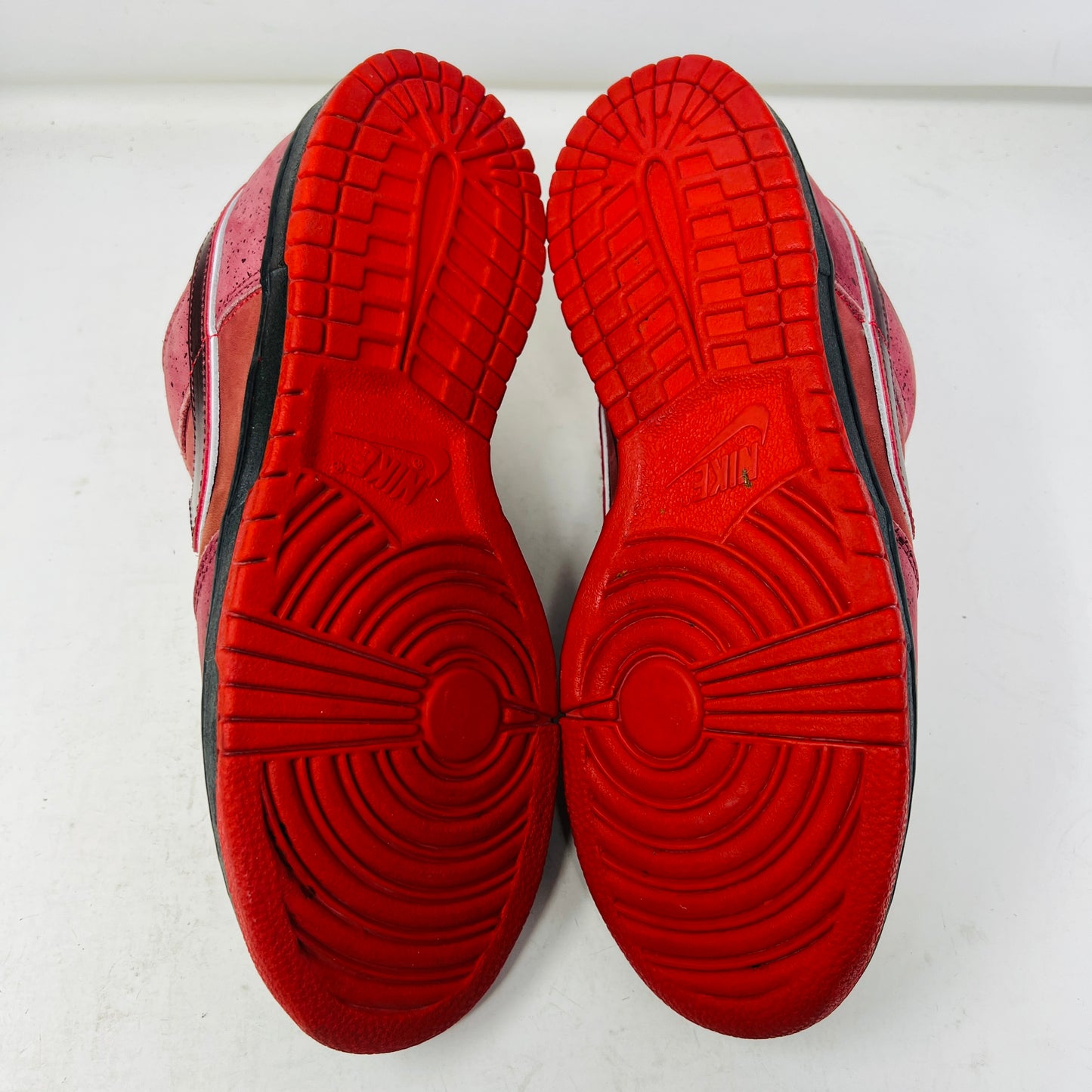 Nike SB Dunk Low Concepts Red Lobster