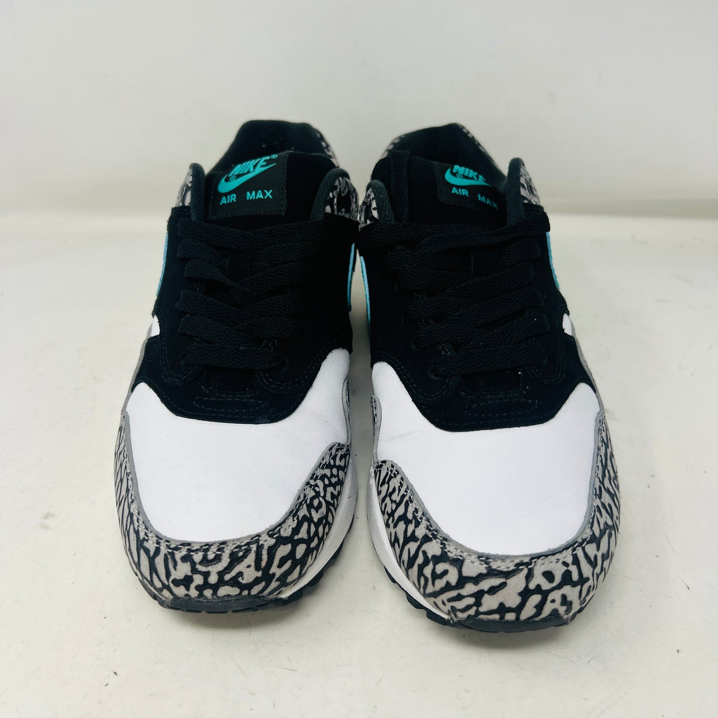 Nike Air Max 1 atmos Elephant (2017)