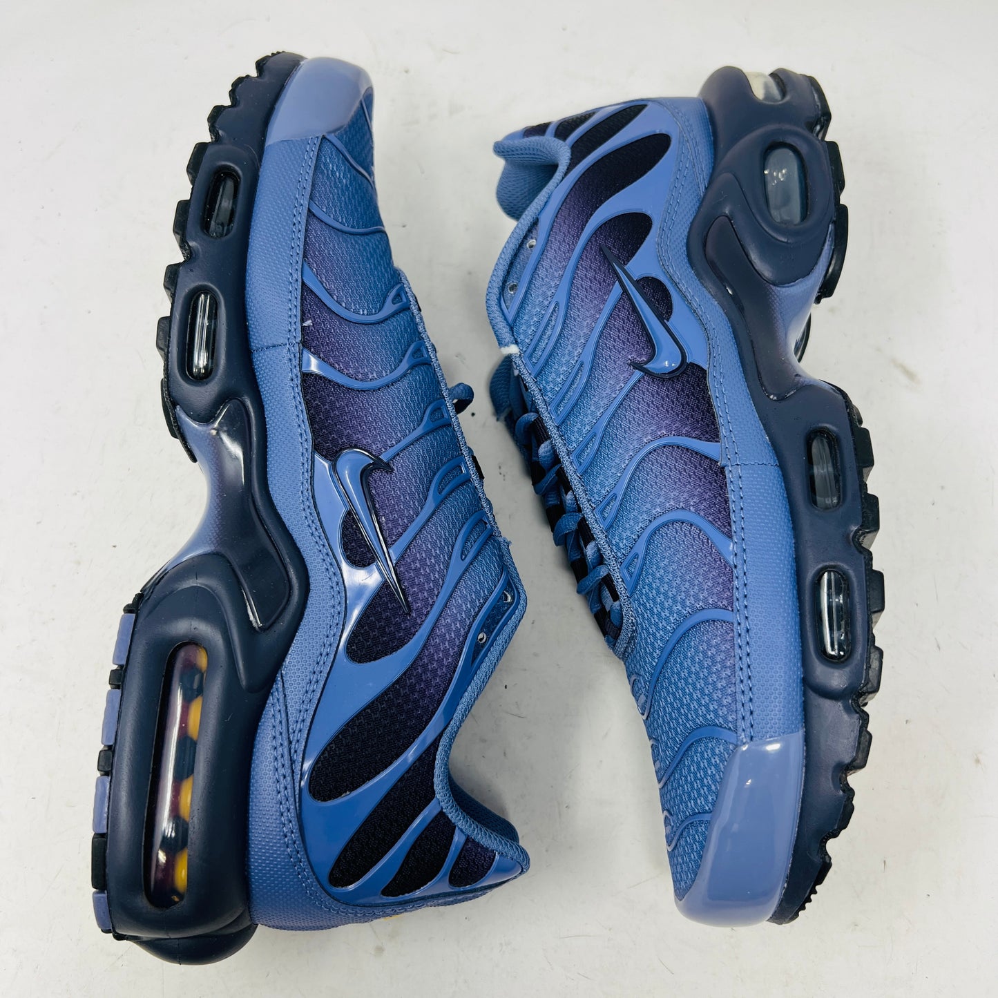 Nike Air Max Plus World Indigo