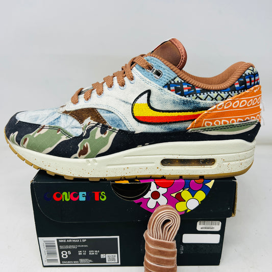 Nike Air Max 1 SP Concepts Heavy