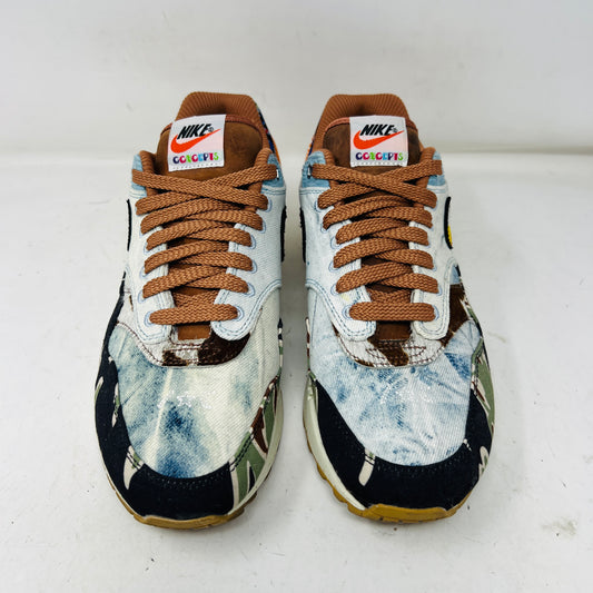 Nike Air Max 1 SP Concepts Heavy