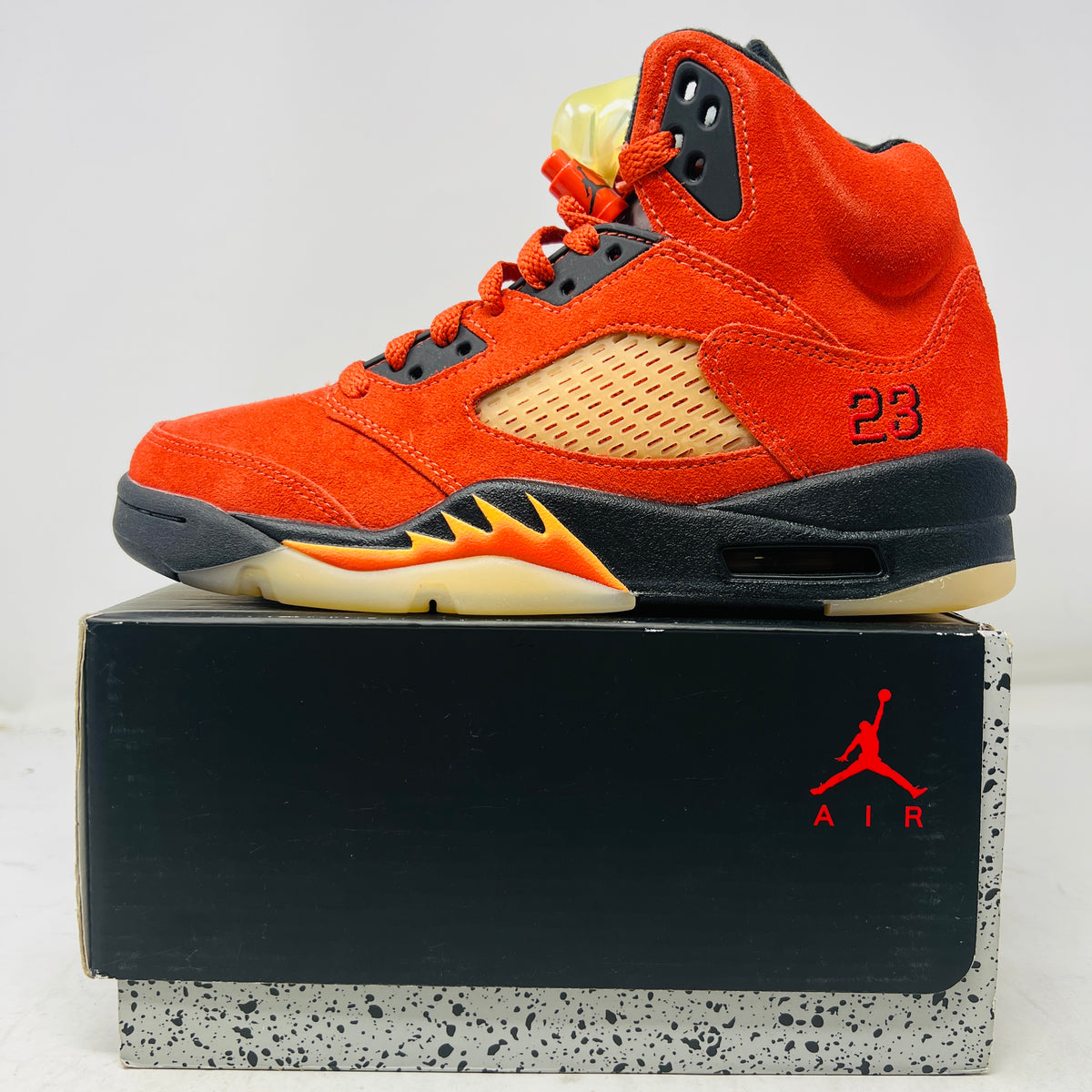 Jordan 5 Retro Dunk on Mars