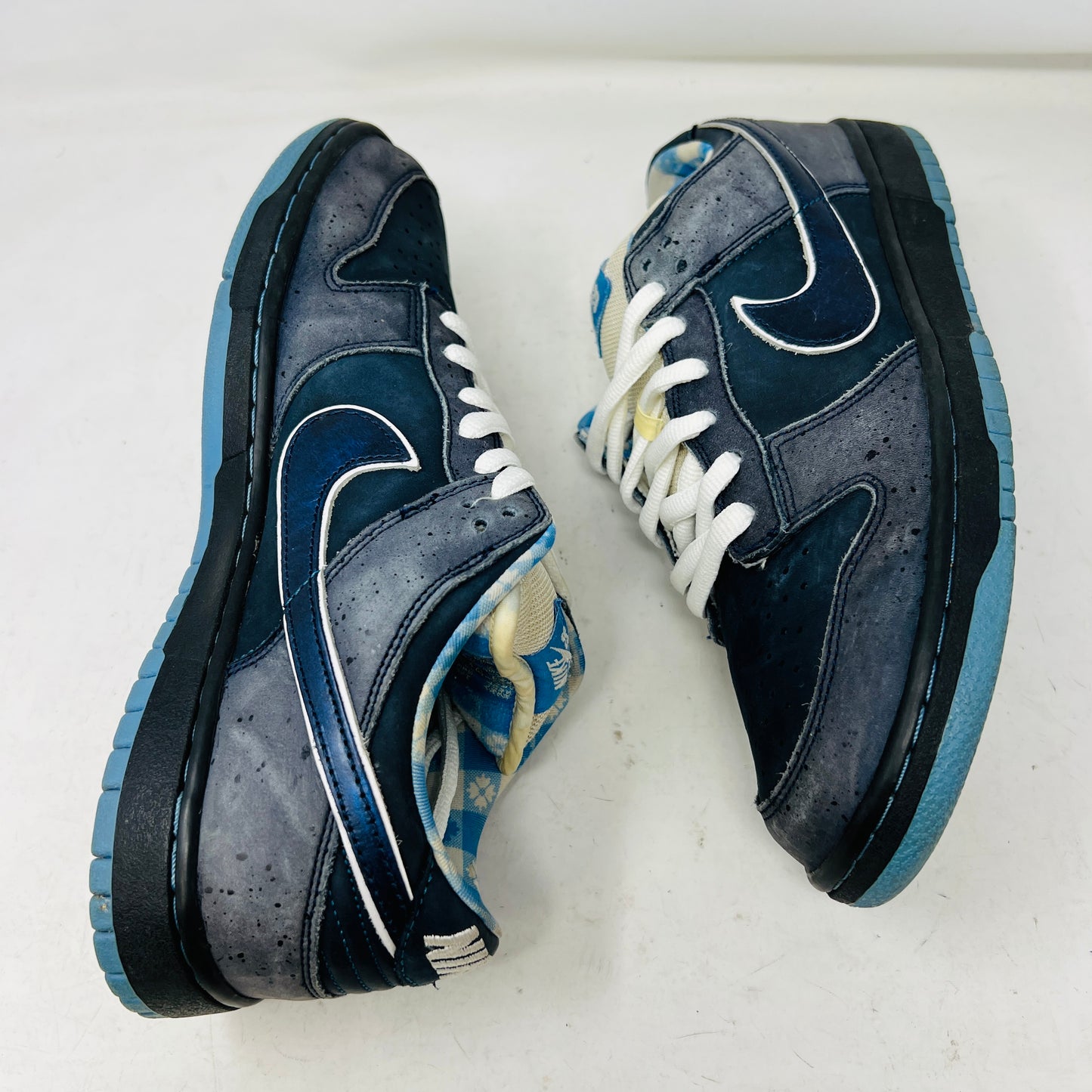 Nike SB Dunk Low Concepts Blue Lobster