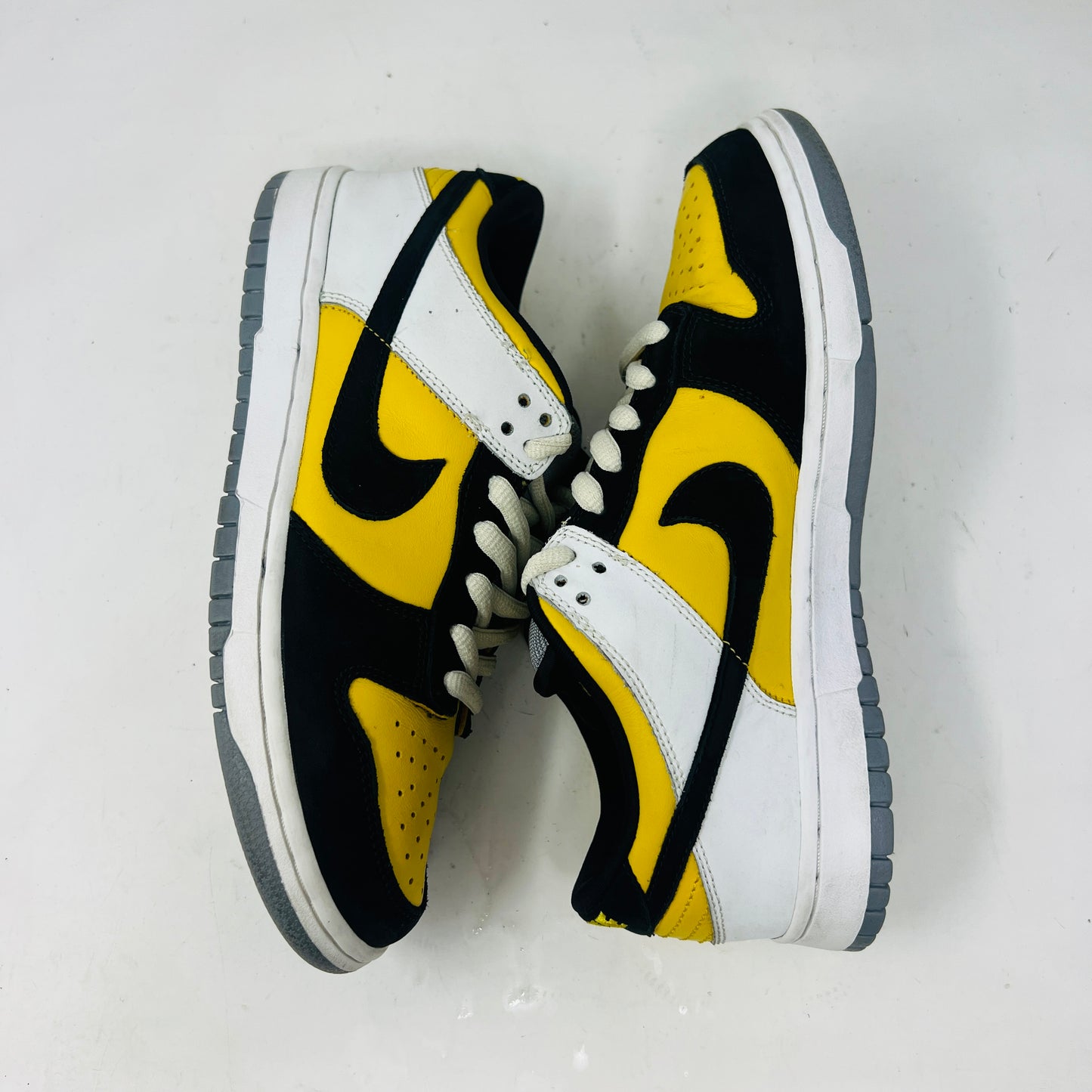 Nike SB Dunk Low Bic