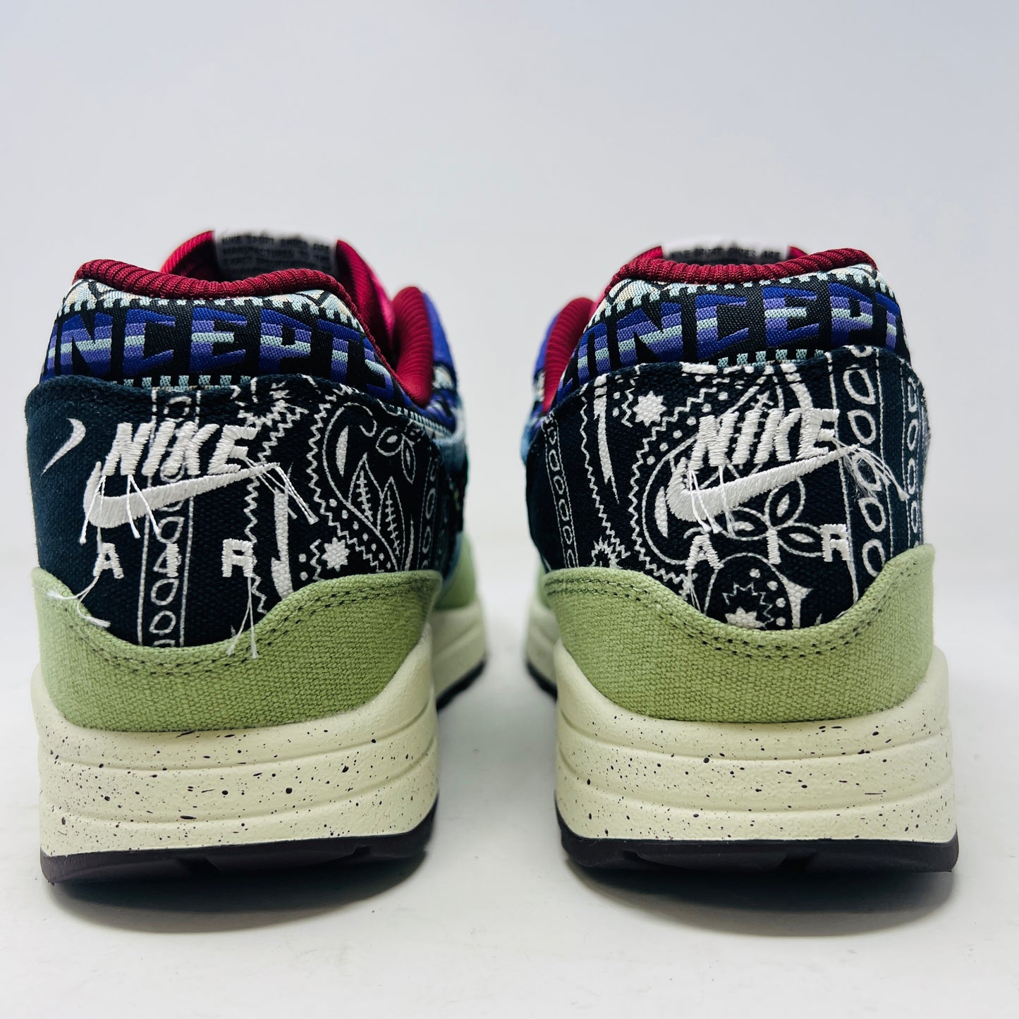 Nike Air Max 1 SP Concepts Mellow