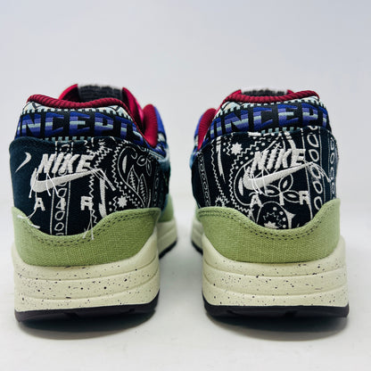 Nike Air Max 1 SP Concepts Mellow