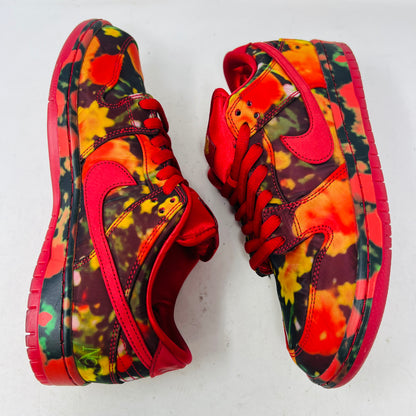 Nike SB Dunk Low The Wizard of Oz Poppy Field