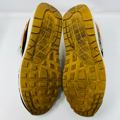 Nike Air Max 1 SP Concepts Heavy