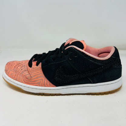 Nike SB Dunk Low Premier Fish Ladder