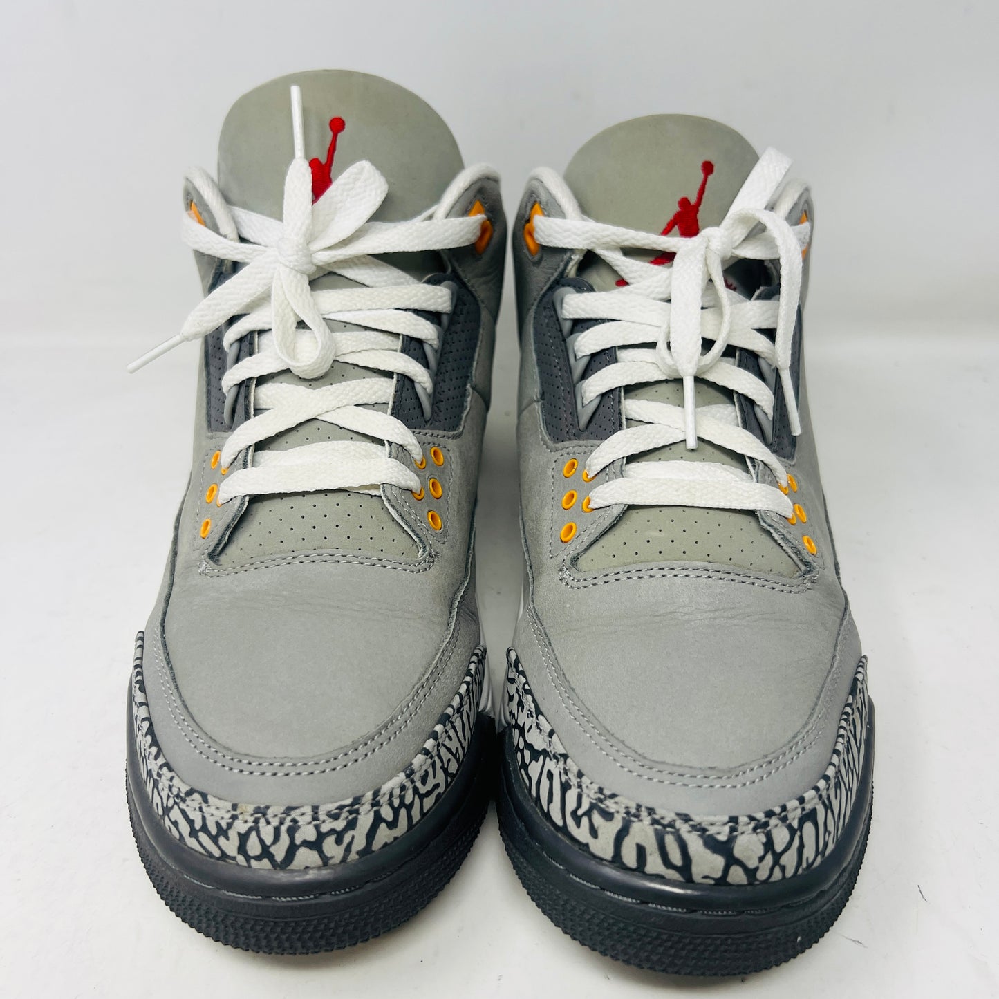Jordan 3 Retro Cool Grey (2021)