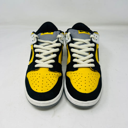 Nike SB Dunk Low Bic