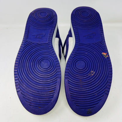 NIKE ZOOM TEAM EDITION PURPLE PIGEON