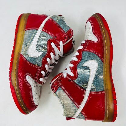 Nike SB Dunk High Shoe Goo