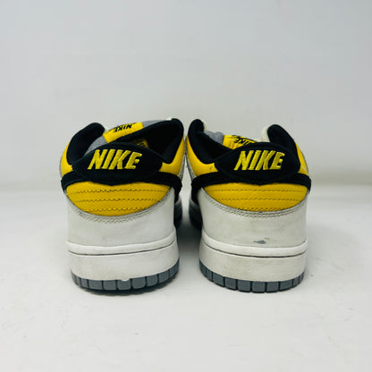 Nike SB Dunk Low Bic