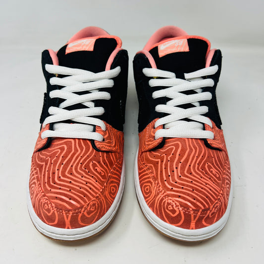 Nike SB Dunk Low Premier Fish Ladder