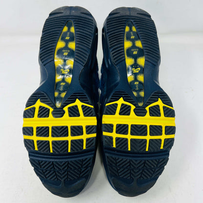 Nike Air Max 95 SB Eric Koston Obsidian Speed Yellow