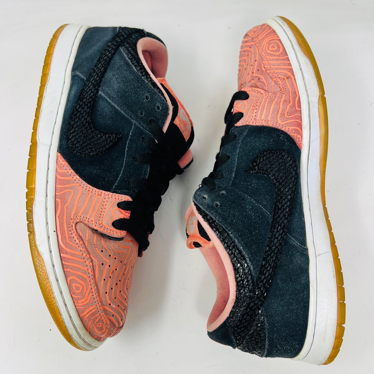 Nike SB Dunk Low Premier Fish Ladder