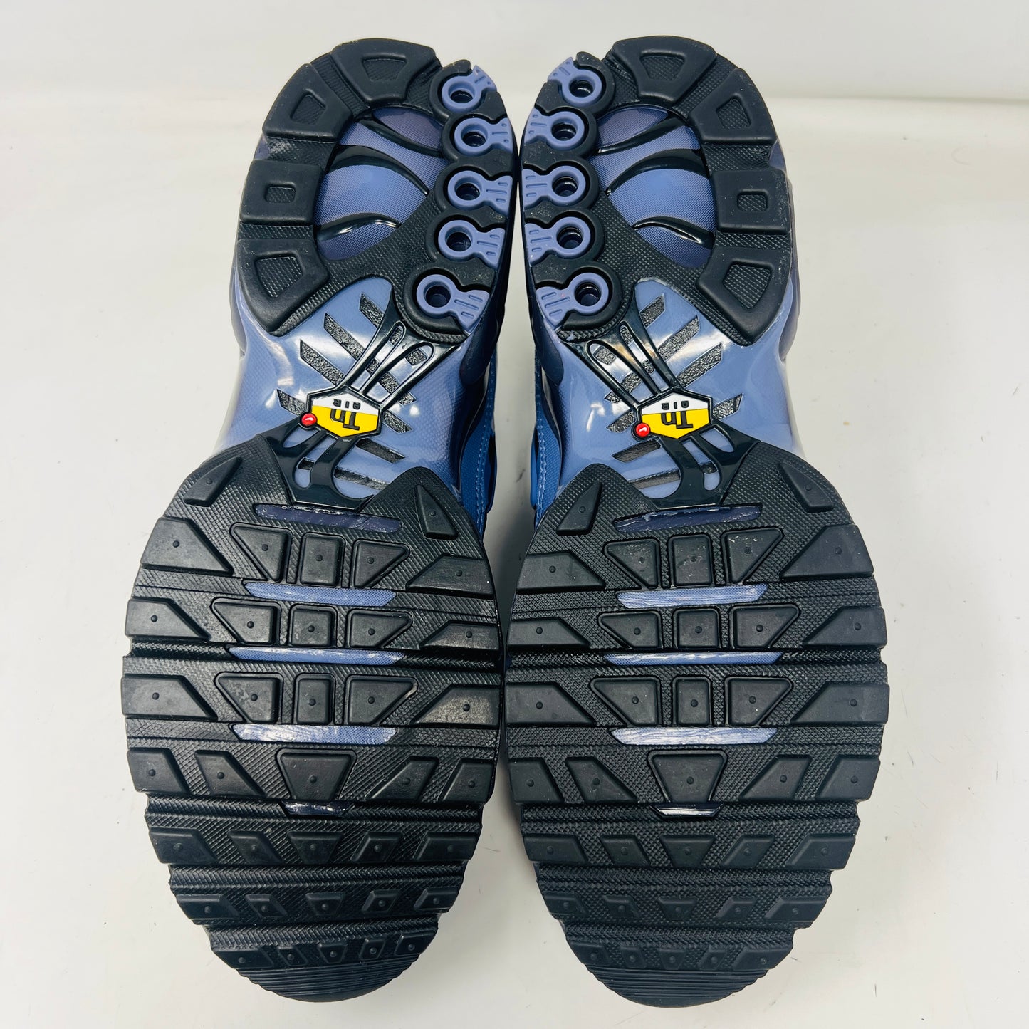 Nike Air Max Plus World Indigo