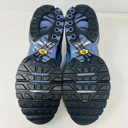 Nike Air Max Plus World Indigo