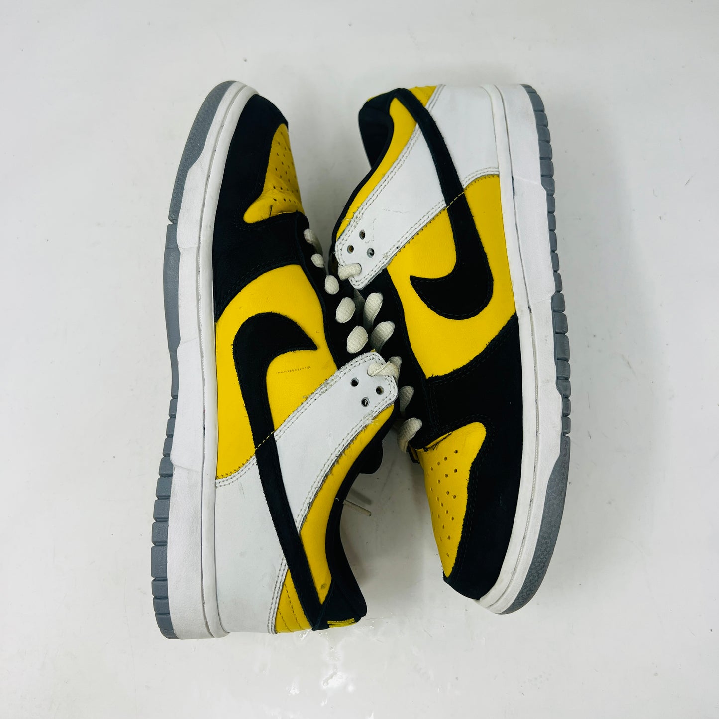 Nike SB Dunk Low Bic