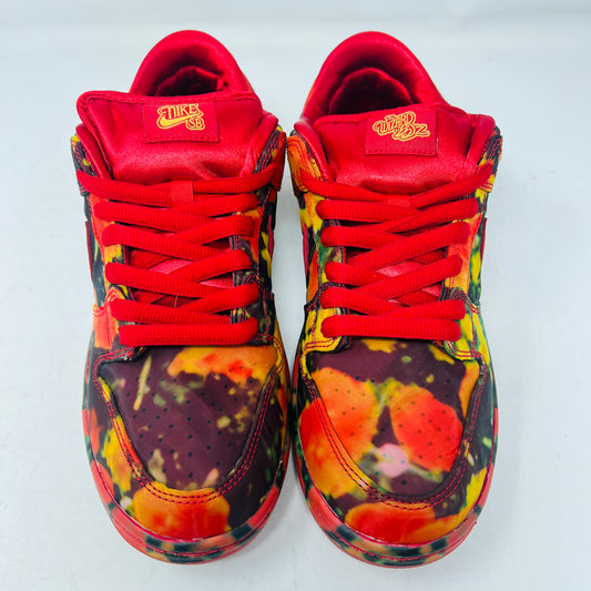 Nike SB Dunk Low The Wizard of Oz Poppy Field