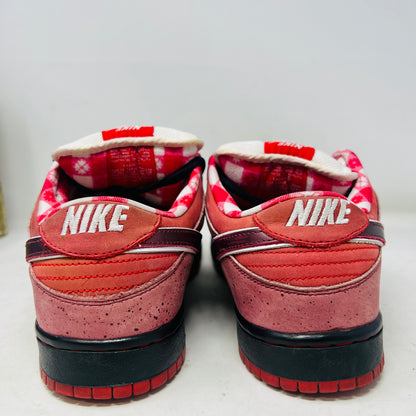 Nike SB Dunk Low Concepts Red Lobster