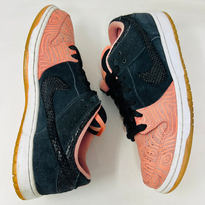 Nike SB Dunk Low Premier Fish Ladder