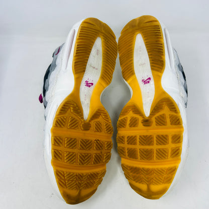 Nike Air Max 95 SB Cactus Flower