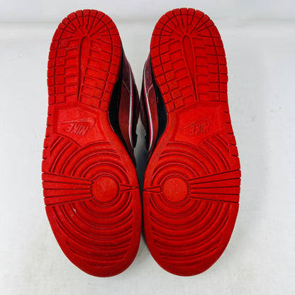 Nike SB Dunk Low Concepts Red Lobster