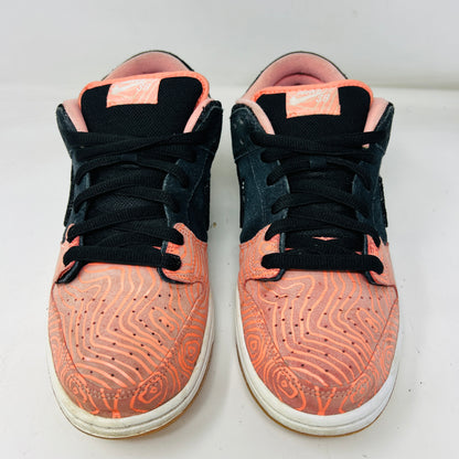 Nike SB Dunk Low Premier Fish Ladder