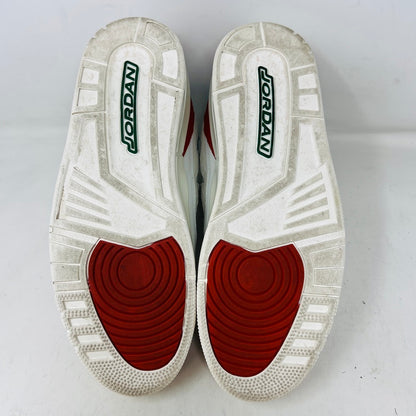 Jordan 3 Retro El Vuelo Summit White